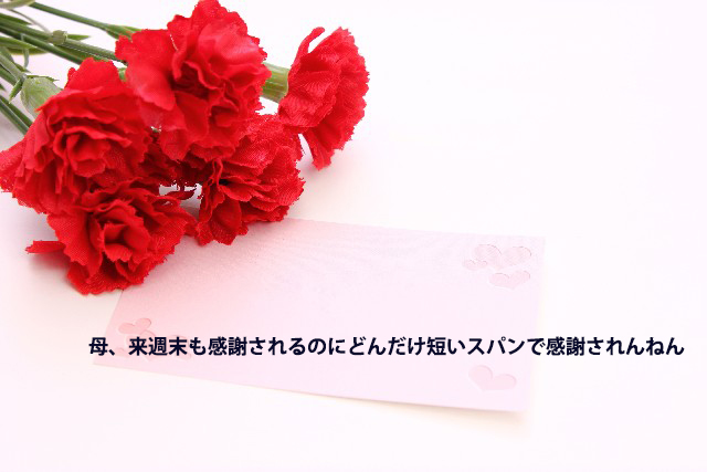 8fc95b122fada25e65b4cfc5b166b881_s.jpg